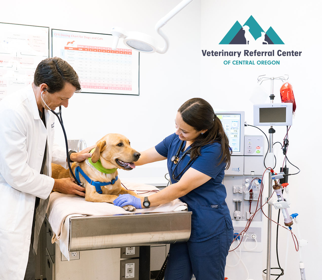 Veterinary Referral Center of Central Oregon Expands Life-Saving Treatment Options With Extracorporeal Therapies